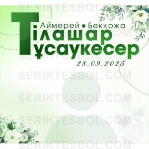Изображение продукта